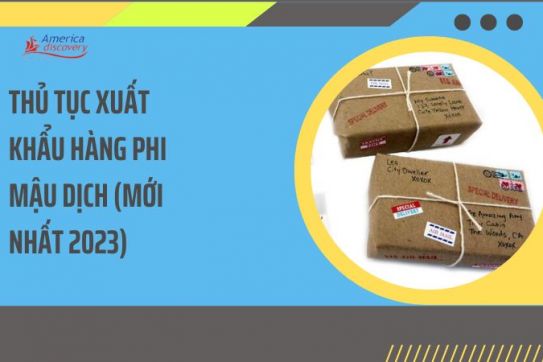 #110 - Thủ Tục Xuất Khẩu Hàng Phi Mậu Dịch (Mới Nhất 2023)